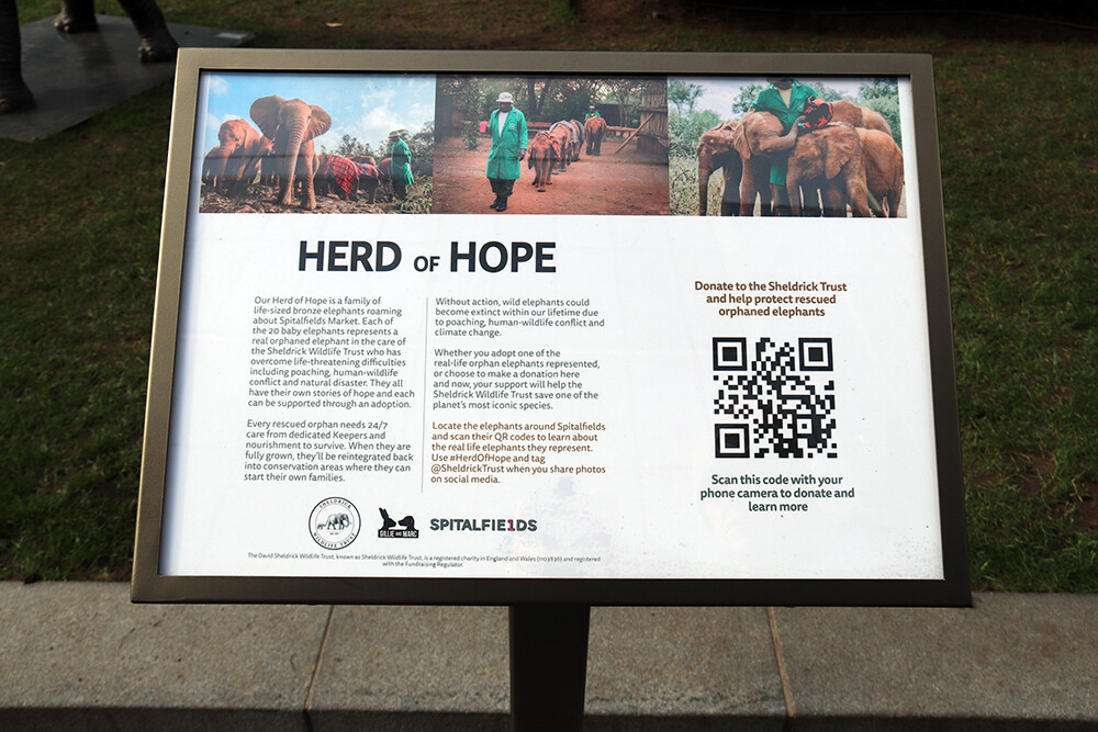 Plaque for Herd of Hope Sheldrick Wildlife Trust