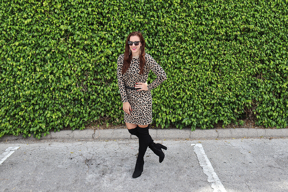 Animal Print Dress with Black Accessories