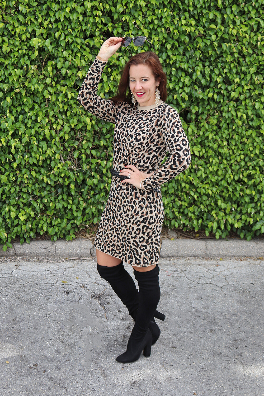 Fashion Blogger Animal Print Dress with Black Accessories