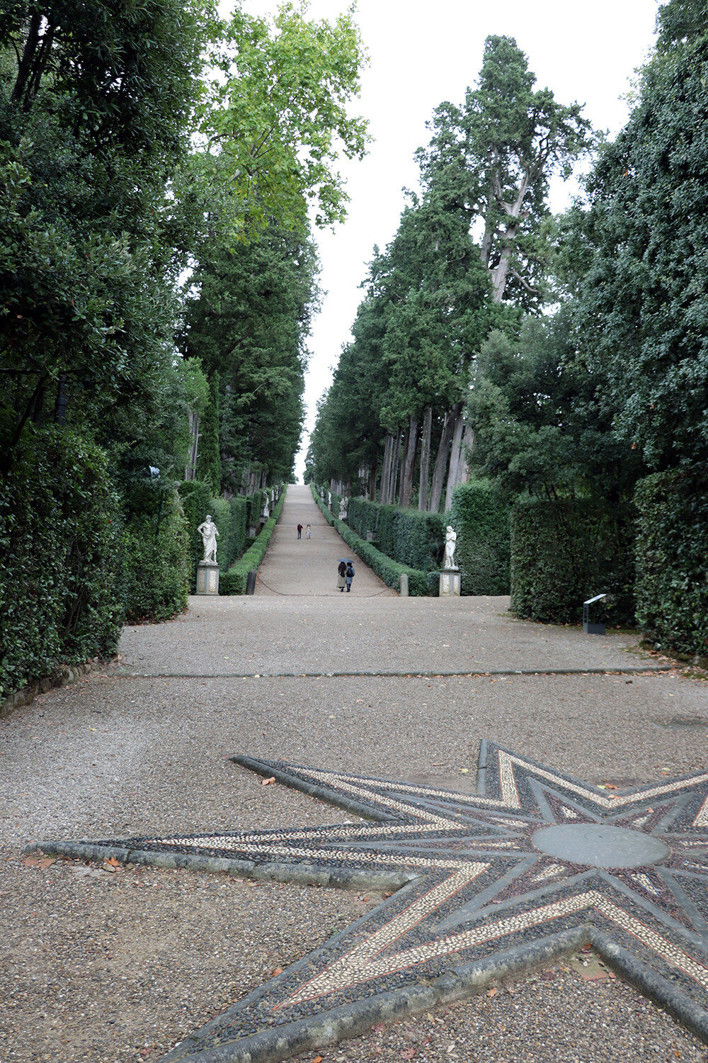 Cypress Lane in the Boboli Gardens