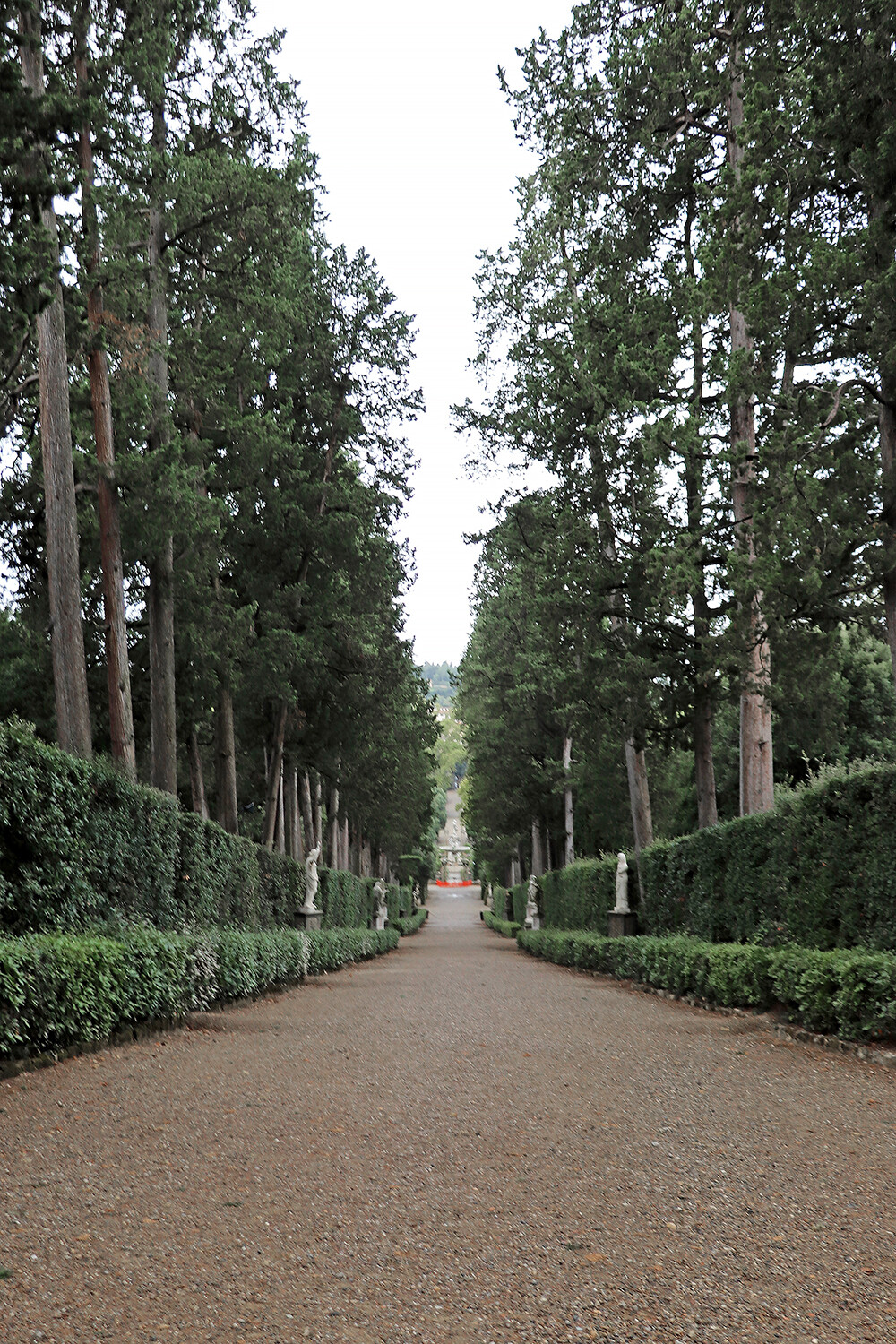 Cypress Lane in the Florence Boboli Gardens