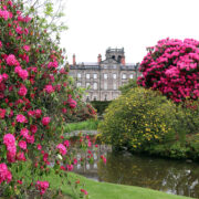 Back of The Victorian Mansion from the Lake