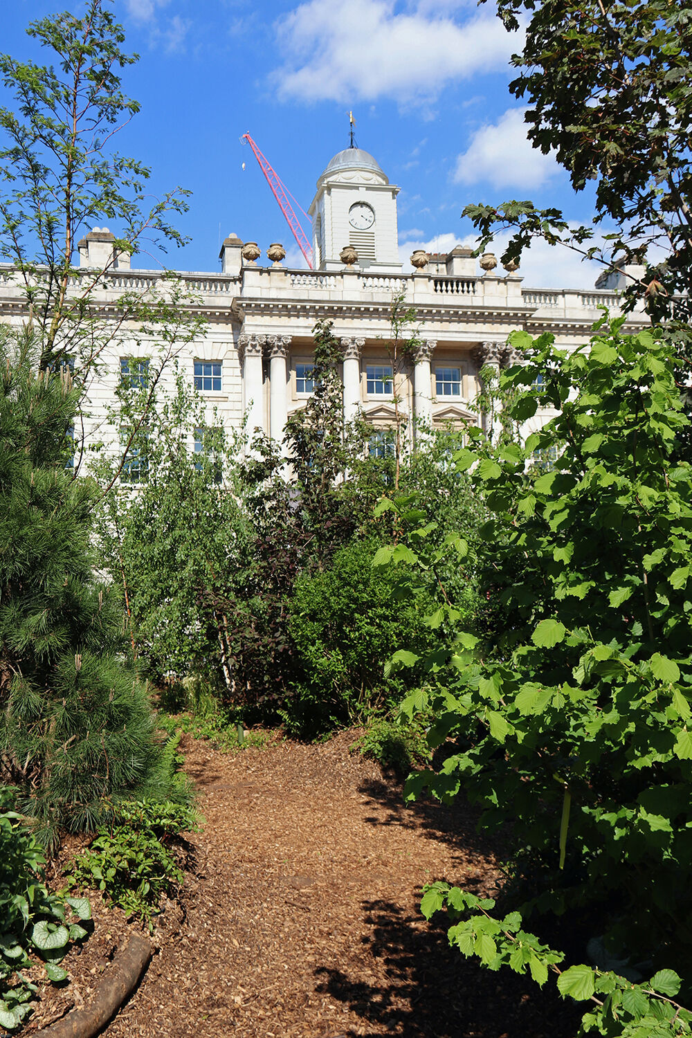 Inside the Forest for Change