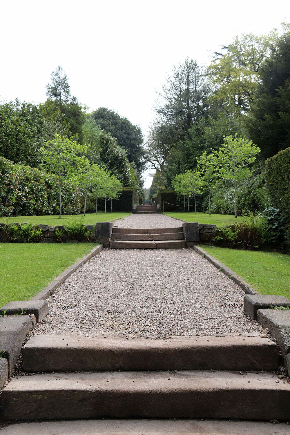 Path to Wellingtonia Walk