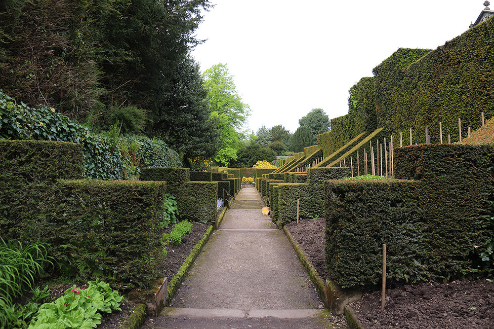The Biddulph Grange Garden Dahlia Walk