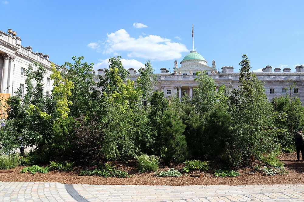The Forest for Change at Somerset House as Part of the  London Design Biennale 2021