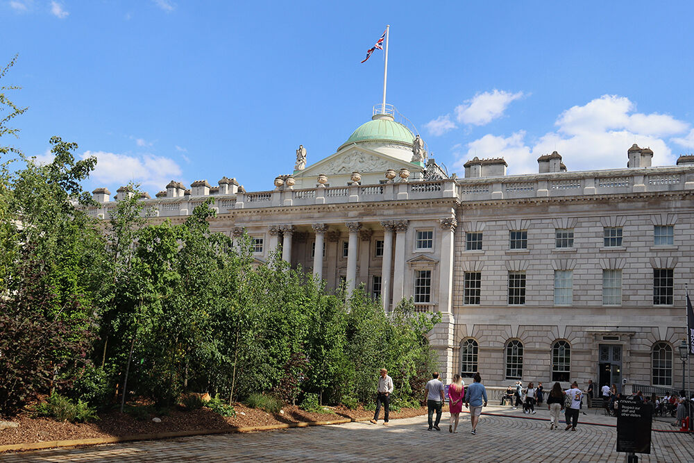 The Forest for Change at Somerset House in London