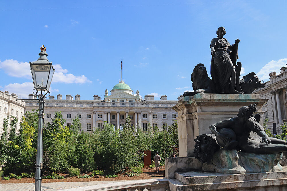 The Forest for Change at Somerset House