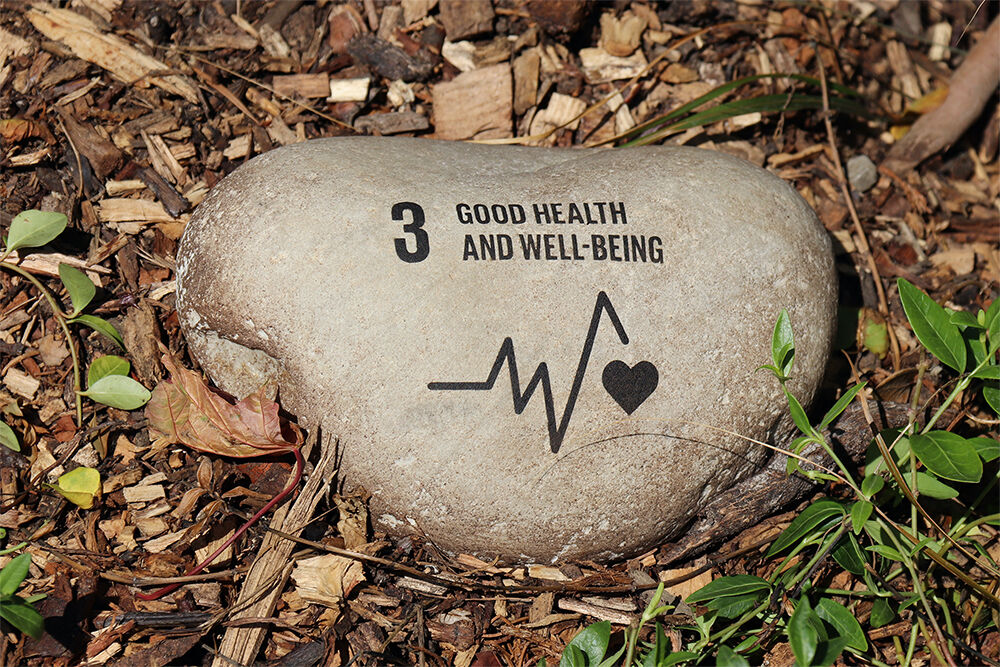 The United Nations Global Goals for Sustainable Development - Goal 3 Good Health and Wellbeing