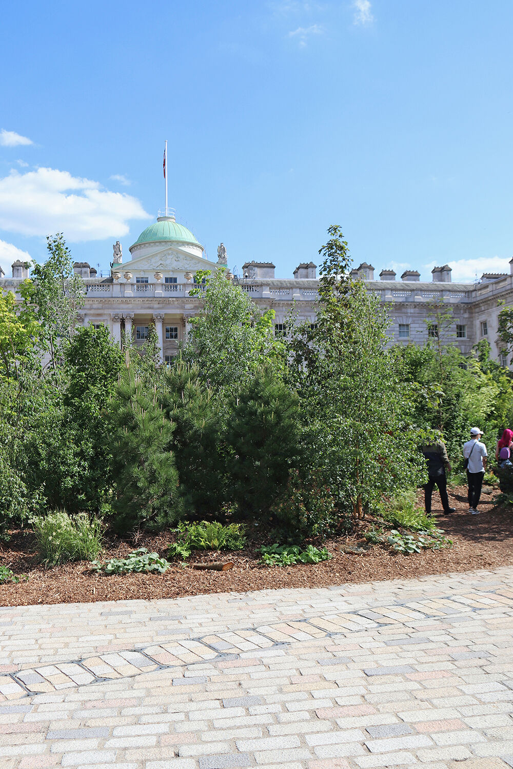 Trees in the Pavilion of Somerset House