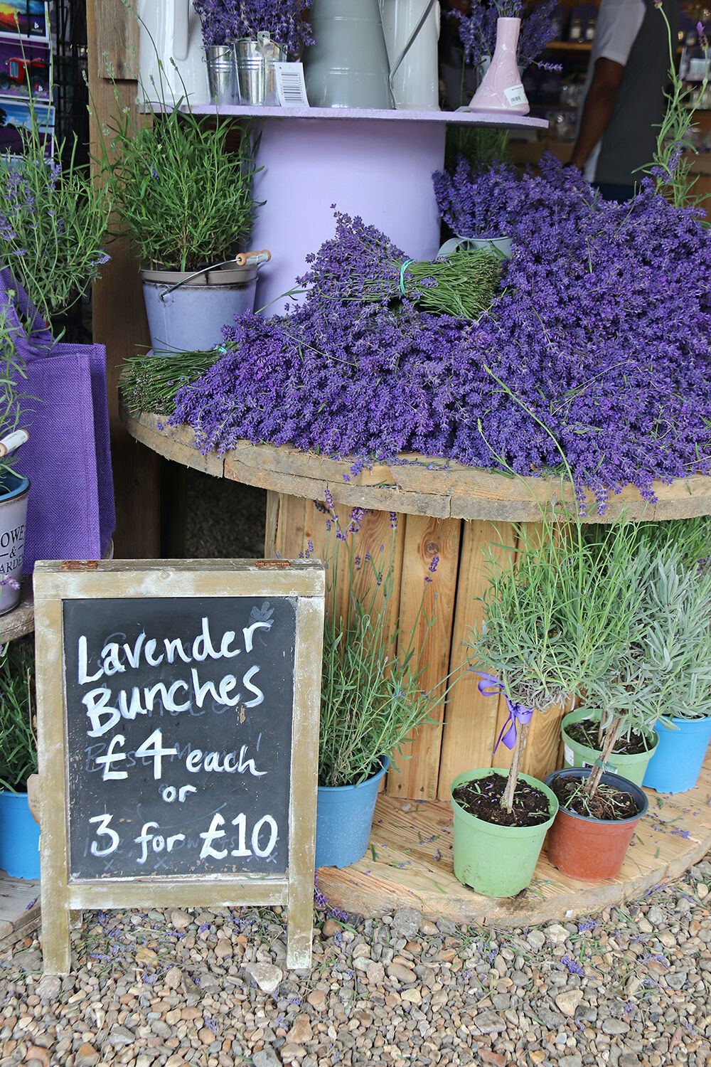 British Lavender Bunches for £4