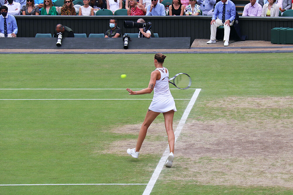 Karolina Pliskova Wimbledon Semi Finals