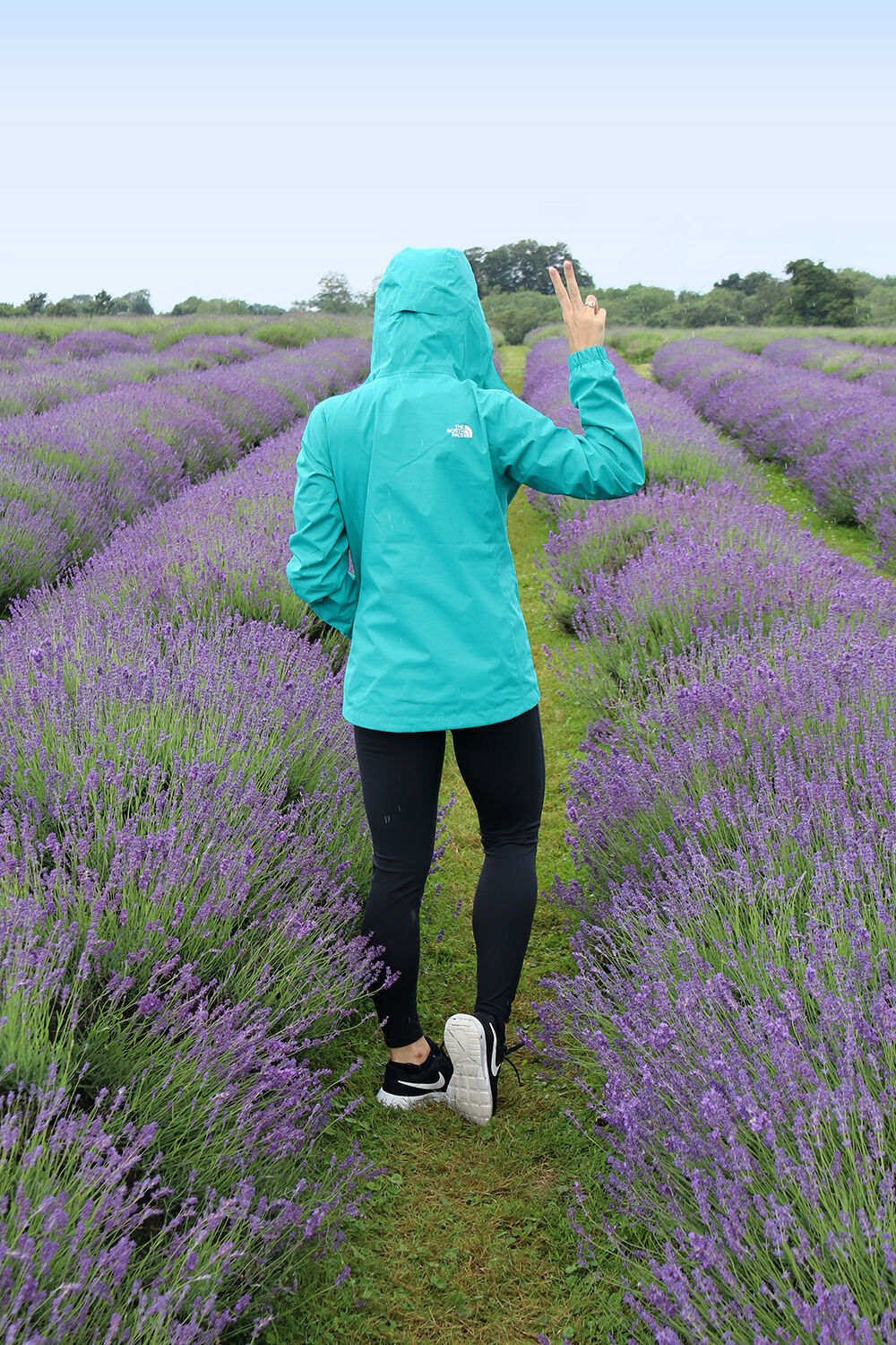 London Blogger in a UK Lavender Field