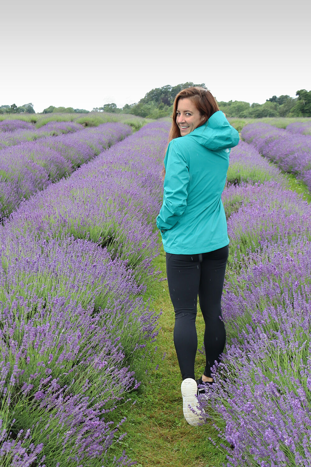 London Blogger in the Mayfield Lavender Farm
