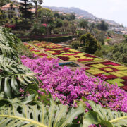 Memories of Madeira - The most famous view at the Jardim Botanico da Madeira, the Madeira Botanical Garden