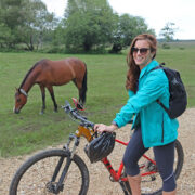 Travel Blogger Kelly Donlin - New Forest Horses