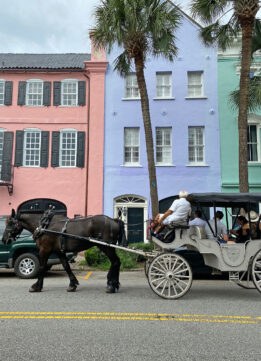 Charleston Bachelorette Touring Rainbow Row