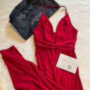 Shonna Joy Plunge Dress (delivery example) from Infinite Closet