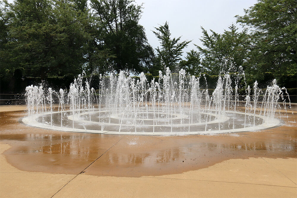 Fountain Southside Chicago