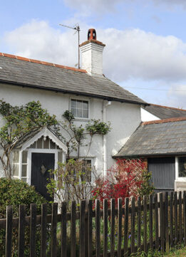 New Forest Weekend - Cottage in Brockenhurst