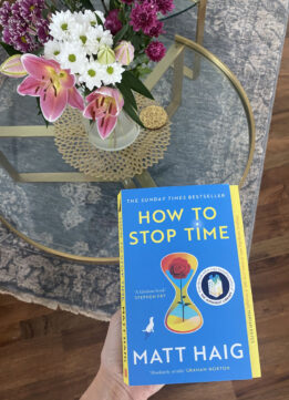 Sparkles and Shoes Book Recommendations How to Stop Time- A Novel by Matt Haig