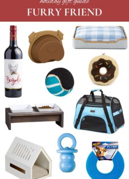Sparkles and Shoes 2022 Holiday Gift Guide - Presents for Pets
