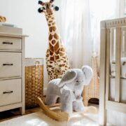 Have Need Want Safari Themed Nursery