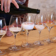 Wine tasting at Domaine de la Perruche in Montsoreau, France