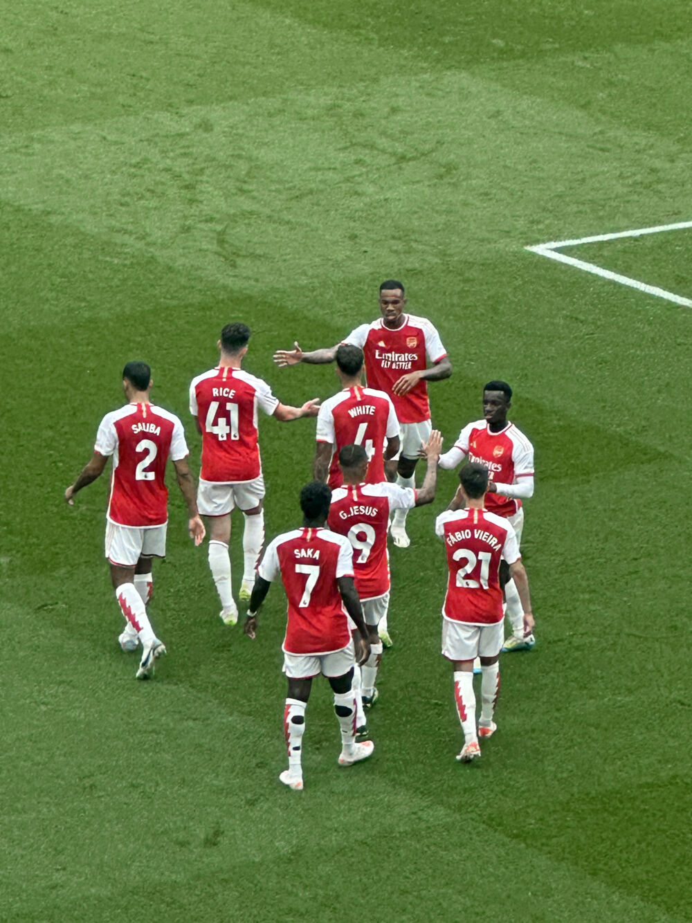 Arsenal Players at Home Match