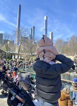 Lily and Mark in Central Park watching the sea lions at the Central Park Zoo