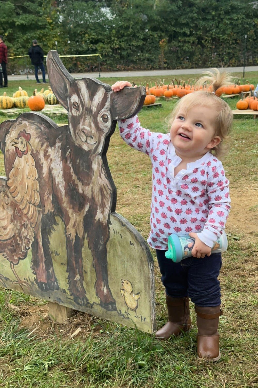 Lily with Sheep at Pumpkin Patch