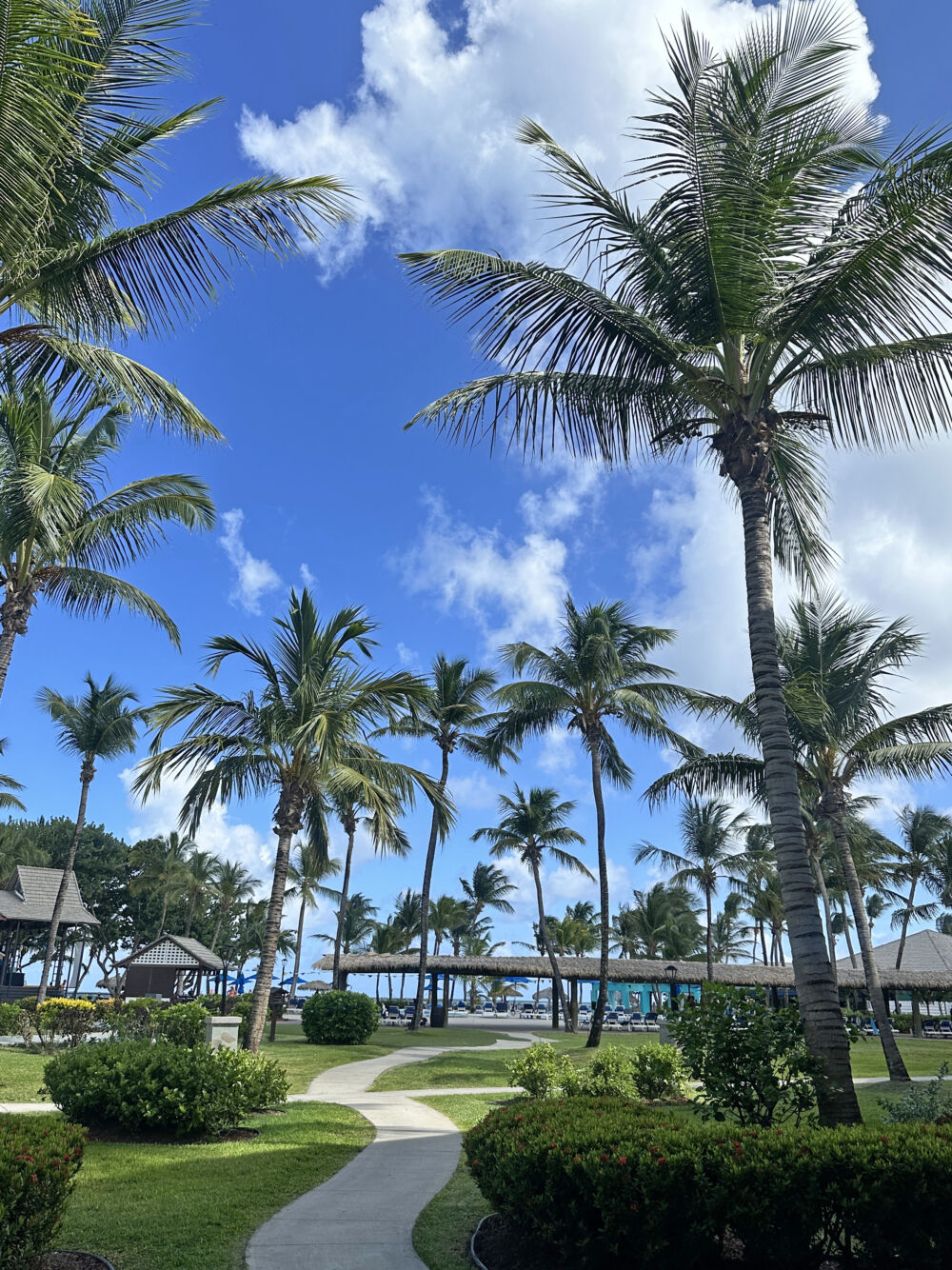 Snapshots from St. Lucia - Coconut Bay Beach Resort & Spa