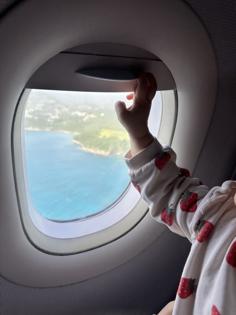 St. Lucia from the Plane
