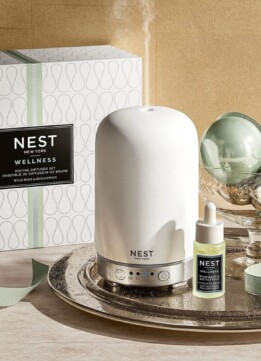 NEST New York Wild Mint & Eucalyptus Misting Diffuser Set