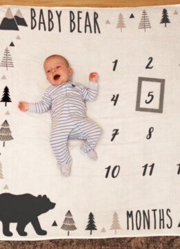 Baby Bear - Henry James 5 Month Update
