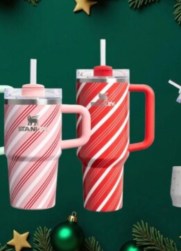 Target Stanley Christmas 1913 Candy Cane Twist
